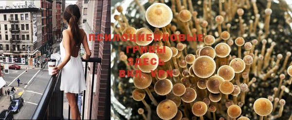 марихуана Алексин