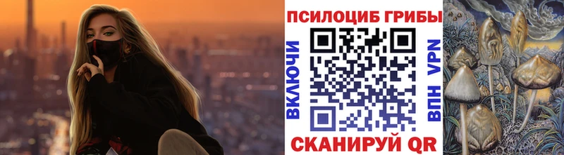 Галлюциногенные грибы Psilocybe  как найти закладки  Муравленко 