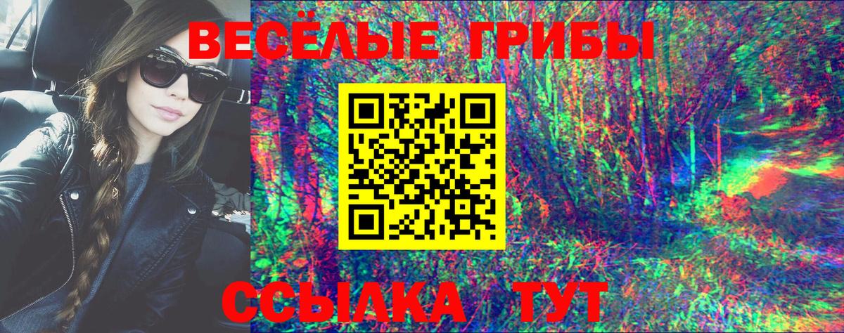 Псилоцибиновые грибы мухоморы  Галлюциногенные грибы Psilocybe  Муравленко  Вход с VPN 